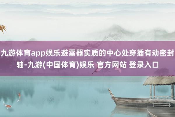 九游体育app娱乐避雷器实质的中心处穿插有动密封轴-九游(中国体育)娱乐 官方网站 登录入口